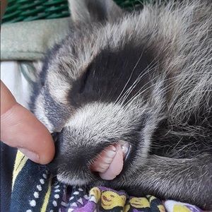 Meet your Posher, Gabby